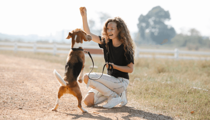 犬　しつけ　維持する